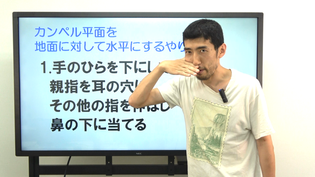 カンペル平面 (時間 0_04_56;24) カンペル平面 (時間 0_04_56;24)